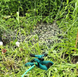 Автоматичний спринклер - зрошувач 360° розпилювач, що обертається для поливу газону, саду, городу.