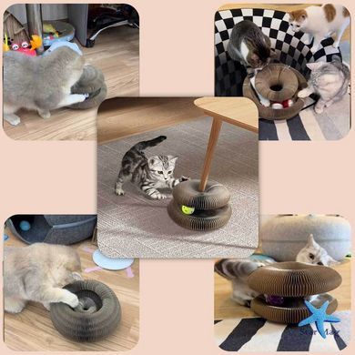 Розкладна іграшка - кігтеточка 2 в 1 для кішок з гофри з м'ячиком Magic Organ Cat · Інтерактивна фігурна іграшка для котів