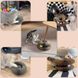 Розкладна іграшка - кігтеточка 2 в 1 для кішок з гофри з м'ячиком Magic Organ Cat · Інтерактивна фігурна іграшка для котів