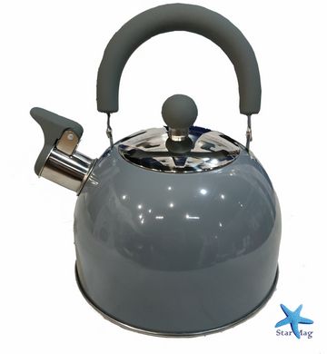Чайник со свистком из нержавеющей стали глянец/матовый (2 л) BN-718