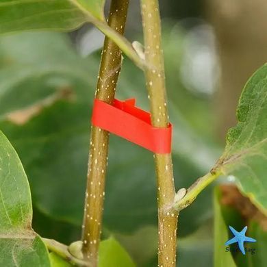 Стрічка для підв'язування рослин Graft strap, 20 х 25 м &middot; Набір стрічок для садового степлера