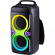 Bluetooth колонка Portable Party Speaker TTD-2016 &bull; Портативна бездротова акустична система TTD-2016 з караоке, LED-підсвіткою, USB, FM-радіо та акумулятором