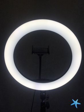Кільцева LED лампа із пультом, 36 см | Світлодіодне селфі кільце для зйомок
