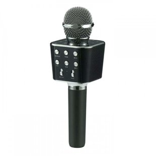 Микрофон DM Karaoke WS668 Черный CG01 PR4