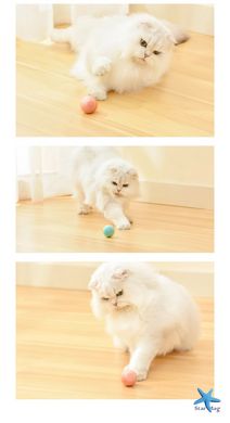 Інтерактивна іграшка для котів та собак Pet Gravity · М'ячик - кулька, що тікає з хаотичним рухом · USB зарядка