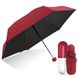 Мини зонт капсула | компактный зонтик в футляре голубой PR4