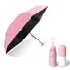 Мини зонт капсула | компактный зонтик в футляре бордо PR2