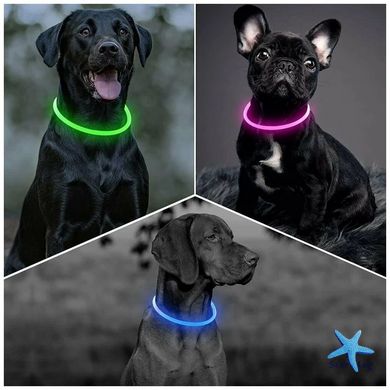 Светящийся LED ошейник для собак универсальный с регулируемой длиной 10-70 см ∙ USB зарядка ∙ 3 режима свечения