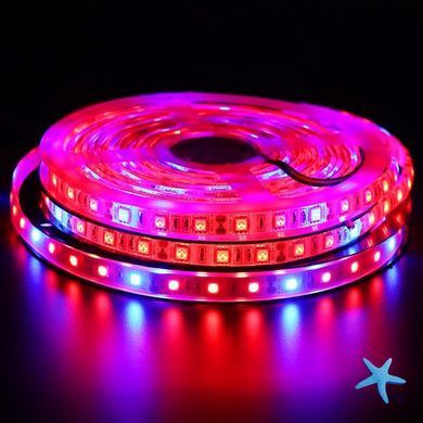 Світлодіодна фітолента SMD 5050 RGBW з кольоровим та білим світлом ∙ Універсальна LED-стрічка SMD 5050 RGBW