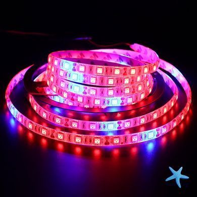 Світлодіодна фітолента SMD 5050 RGBW з кольоровим та білим світлом ∙ Універсальна LED-стрічка SMD 5050 RGBW