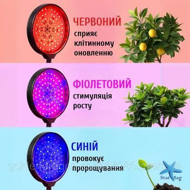 Фитолампа для растений с таймером и регулировкой яркости &bull; Круглая LED лампа для цветов на 4 головки