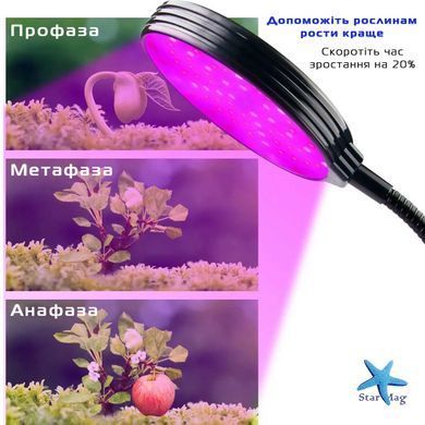 Фитолампа для растений с таймером и регулировкой яркости &bull; Круглая LED лампа для цветов на 4 головки