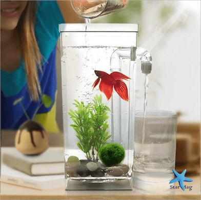 Акриловий акваріум для рибок My Fun Fish Самоочисний міні-акваріум з краном для легкого очищення