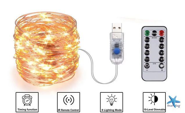 Світлодіодна гірлянда Роса USB 2 метри з пультом дистанційного управління ∙ Гірлянда мідна проволока 200LED 2M USB XL-76-20