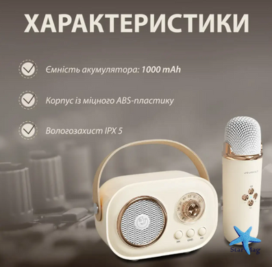 Акустическая система «RETRO» с микрофоном ∙  Беспроводная портативна Bluetooth колонка на аккумуляторе ∙ Мини-караоке