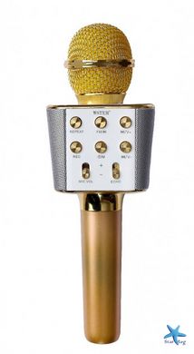 Колонка - мікрофон з функцією Караоке Wster WS-1688 USB, microSD, AUX, Bluetooth, REC