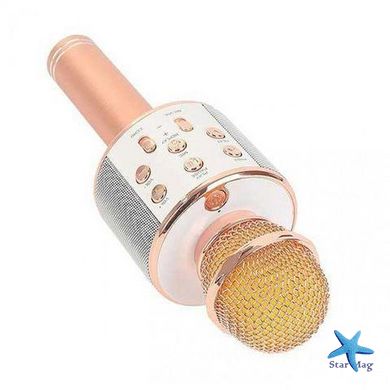 Беспроводной караоке-микрофон Bluetooth Wster WS-858 CG01 PR3