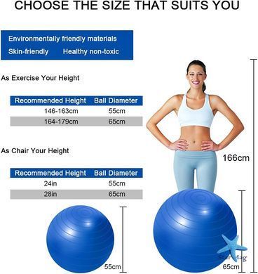 Фитнес мяч 75 см Rising Anti Burst Gym Ball для тренировок ∙ Универсальный мяч Gym Ball для тренировок дома