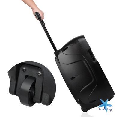 Колонка бездротова з підсвіткою та мікрофоном 6,5" ∙ Bluetooth-колонка з функцією караоке 6,5"