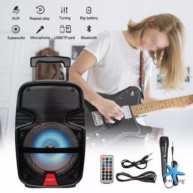 Колонка бездротова з підсвіткою та мікрофоном 6,5" ∙ Bluetooth-колонка з функцією караоке 6,5"