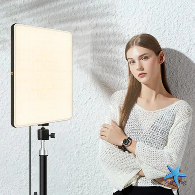 Свет блогера LED LAMP PL-26 &bull; Кольцевая LED-лампа для фото, видео, макияжа, стримов и съемки контента