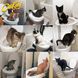 Система приучения кошек к унитазу Туалет для кота Citi Kitty Cat Toilet Training