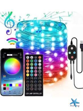 Вуличні вогні 5M Smart Bluetooth App Control ∙ Світлодіодна LED гірлянда 5M Smart з керуванням через додаток