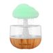 Зволожувач повітря Rainy Mushroom з ефектом дощу та підсвічуванням · Крапельний аромадіфузор - нічник