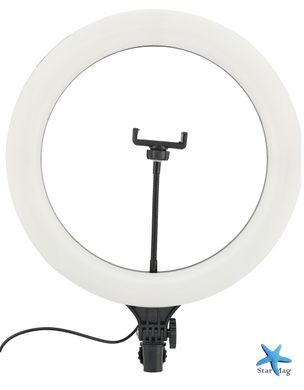 Кольцевая LED лампа 39 см A390 с пультом | Светодиодная селфи лампа | Селфи кольцо без штатива