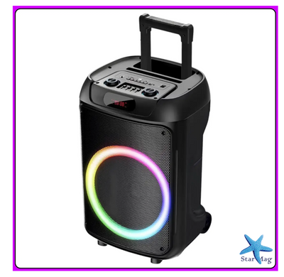 Колонка Bluetooth Wireless Speaker TTD-1209 с микрофонами и пультом ДУ ∙ Портативная TTD-1209 Bluetooth колонка 12"
