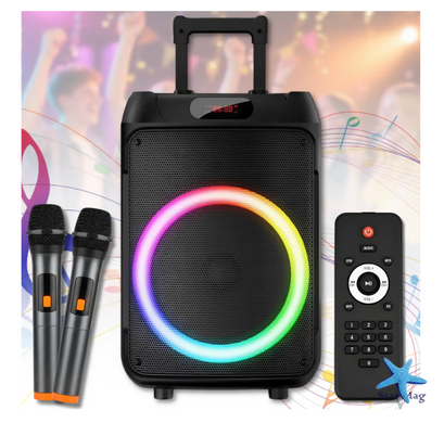 Колонка Bluetooth Wireless Speaker TTD-1209 с микрофонами и пультом ДУ ∙ Портативная TTD-1209 Bluetooth колонка 12"