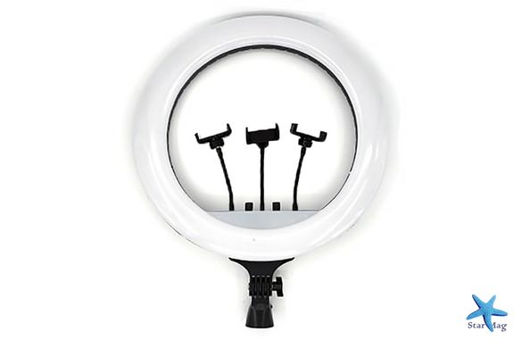 Світлодіодна кільцева лампа для селфі 54 см / Світлодіодна лампа з пультом + сумка (RL-21)