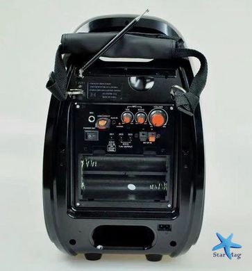 Колонка портативная акустическая система с микрофоном и FM радио BT Golon RX 810