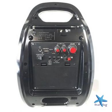 Портативная колонка Golon RX-820 Акустическая система Bluetooth + радио + микрофон + пульт + светомузыка