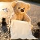 Дитяча інтерактивна іграшка Ведмедик Пікабу Peekaboo Bear Brown, 30 см